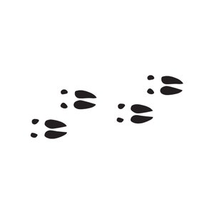 May include: Black and white illustration of animal tracks, likely from a rabbit or hare. The tracks are arranged in a pattern, with two sets of paired footprints and a single set of paired footprints, all in a dark color against a white background.