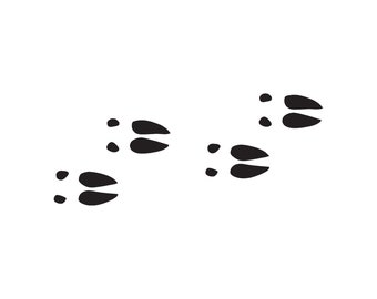 Buck Deer Tracks - Vinyl Decal Sticker - 3 Sizes - 9 Solid Colors - ebn196