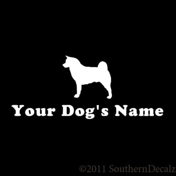 akita dog name