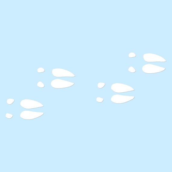 Deer Tracks - Set of 12 - Life Sized
