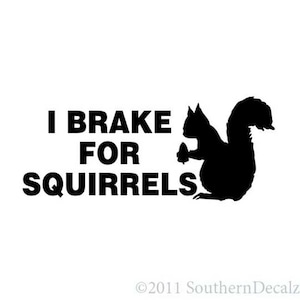Brake For Squirrels - Vinyl Decal Sticker - 9&quot; long x 3.75&quot; high - 24 Colors - [#2564]
