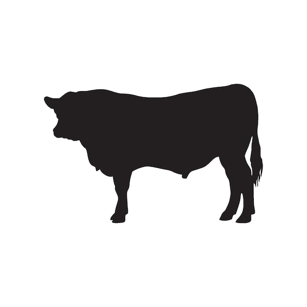Angus Cow Bull - Vinyl Decal Sticker - 3 Sizes - 9 Solid Colors - ebn53