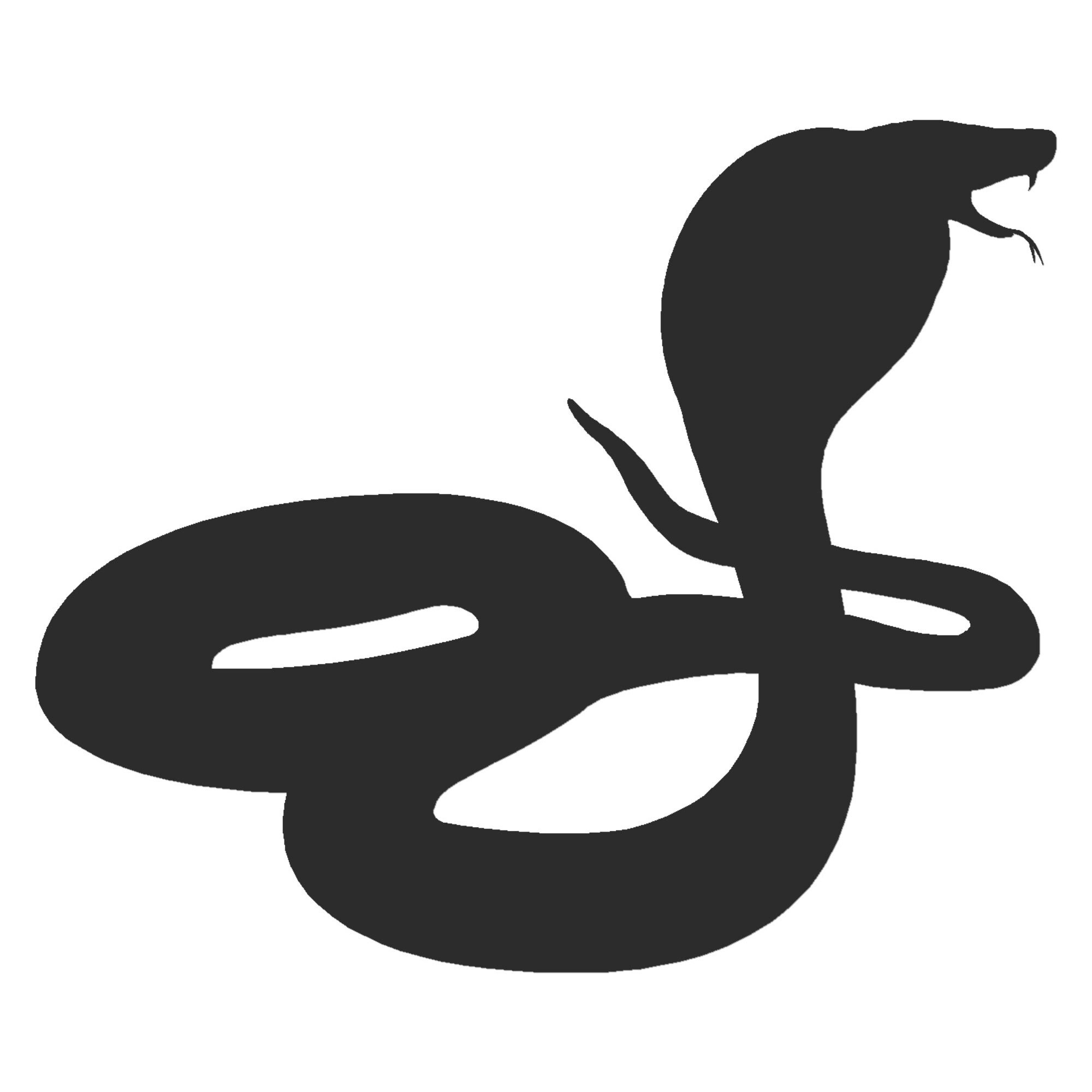 Snake Decal in Wall Decals & Stickers for sale