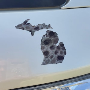MICHIGAN Great Lakes PETOSKEY Stone Vinilo Calcomanía - Calcomanía de coche, pegatina portátil, casco, calcomanía de copa de vino, calcomanía de letrero, pegatina de vaso Yeti
