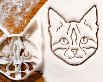 bengal cat cake