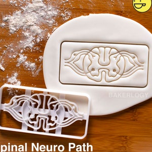 Spinal Neuro Path cookie cutter | Bakerlogy biscuit cutters central nervous system CNS nerve cell brain neurons nervous tissue neurologist