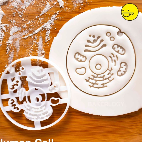Human Cell cookie cutter | medicine biscuit cutters Gifts medical science Robert Hooke students health student biology doctors | Bakerlogy