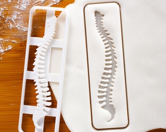 Human Spine cookie cutter | biscuit cutters | Gifts medical students human body anatomical backbone xray bones skeleton cervical anatomy