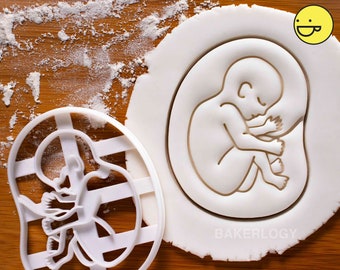 20-week Fetal Development cookie cutter | Bakerlogy medicine Pregnancy announcement Ultrasound Scan O&G obstetrics gynecology midwife birth