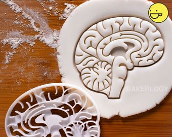 Anatomical Brain cookie cutter | Heart cookies cutters | biscuit cutter | Gifts for medical student science students | one of a kind | ooak