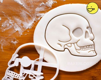 Anatomical Human Skull cookie cutter | biscuit cutter | Prehistoric Humans Archaeology | one of a kind Halloween Macabre Gothic