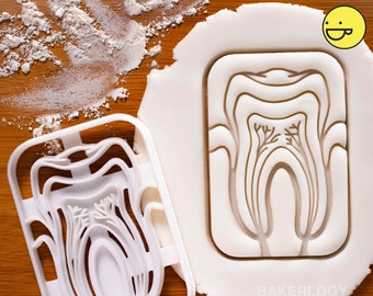 Tooth Anatomy cookie cutter | Bakerlogy Dental clinic molar teeth biscuit cutters Gifts for Dentistry student science students cookies