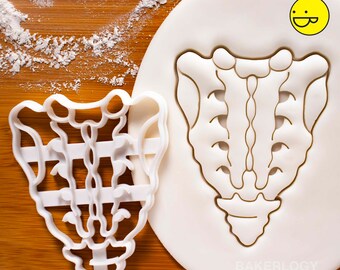 Posterior Sacrum and Coccyx cookie cutter - Medical Science Human Spine Anatomy themed Birthday Party
