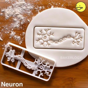 Neuron cookie cutter | Bakerlogy biscuit cutters nerve cell brain neurons dendrites axons fibers neurone central nervous system CNS synapses