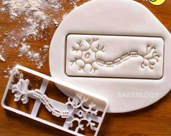 Neuron cookie cutter | Bakerlogy biscuit cutters nerve cell brain neurons dendrites axons fibers neurone central nervous system CNS synapses