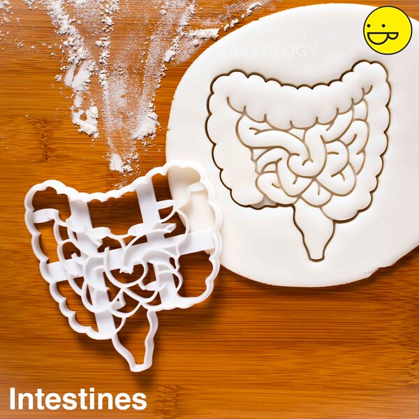 Intestines, Stomach, & Liver cookie cutter biscuit cutters | Human Body Anatomy Gifts internal medicine intestine, doctors nurses halloween