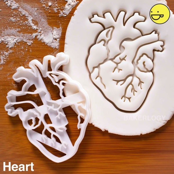 Anatomical Heart cookie cutter | Brain cookies cutters | biscuit cutter, Gifts for medical student science students | one of a kind | ooak