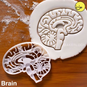 Anatomical Brain cookie cutter | Heart cookies cutters | biscuit cutter | Gifts for medical student science students | one of a kind | ooak