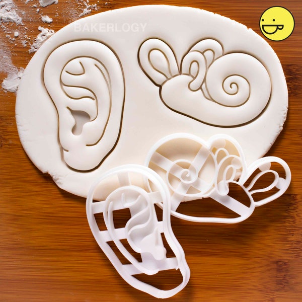 Anatomical Human Inner Ear cookie cutter | Cochlea biscuit cutter | Outer Ear auricle auricula pinna pinnae Anatomy | one of a kind ooak