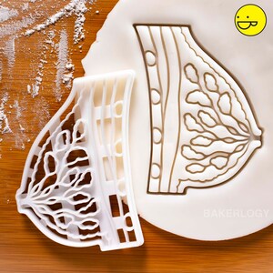 Breast Anatomy cookie cutter | physiology medicine cookies | breast cancer awareness medical doctors gifts doctor oncology nurse