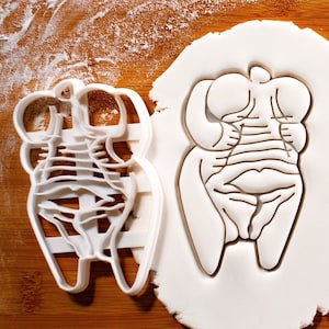 Venus of Hohle Fels cookie cutter - Venus of Schelklingen, deity divine goddess female woman human figure Paleolithic art artifact