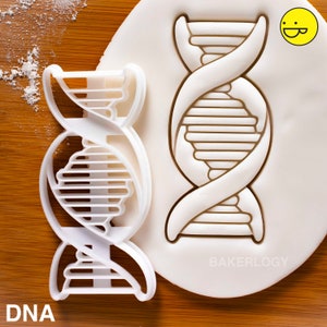 DNA cookie cutter | biscuit cutters cell cycle Deoxyribonucleic acid molecule genetics genetic Microbiology laboratory science chromosome