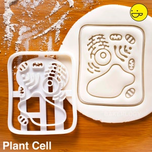 Plant Cell cookie cutter | biscuit cutters Gifts botanist Botany phytology science chloroplast students anatomy student biology | Bakerlogy