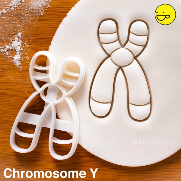 Chromosome Y cookie cutter | male genetics biscuit cutters Deoxyribonucleic acid genealogy genetic Microbiology laboratory science DNA