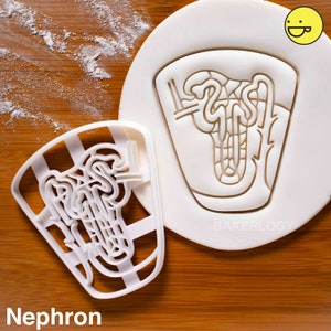 Nephron cookie cutter | Bakerlogy biscuit cutters medical students human kidney body organ parts renal organs anatomy physiology urinary