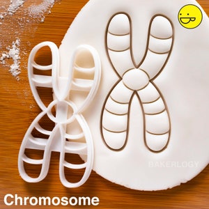 Chromosome cookie cutter | genetics biscuit cutters Deoxyribonucleic acid genealogy molecule genetic Microbiology laboratory science DNA