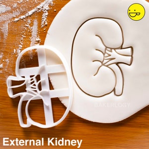 Anatomical Kidney cookie cutter | biscuit cutters | Gifts medical students human body organ parts renal organs anatomy