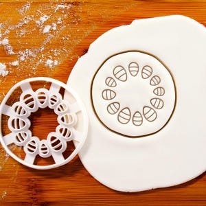 Dicot Stem Anatomy Cookie Cutter – Biology Plant Structure Design for Science Baking & Educational Gifts