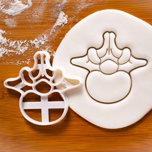 Lumbar Vertebra cookie cutter - Medical Science Human Spine Anatomy themed Birthday Party