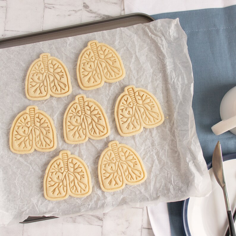 Chest X-ray Cookie Cutter – Rib Cage Shape for Radiology, Medical ...