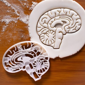 Cortador de biscoitos de cérebro anatômico | Cortadores de biscoitos de coração | Cortador de biscoitos | Presentes para estudantes de medicina e ciências | Único | ooak