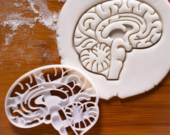 Anatomical Brain cookie cutter | Heart cookies cutters | biscuit cutter | Gifts for medical student science students | one of a kind | ooak