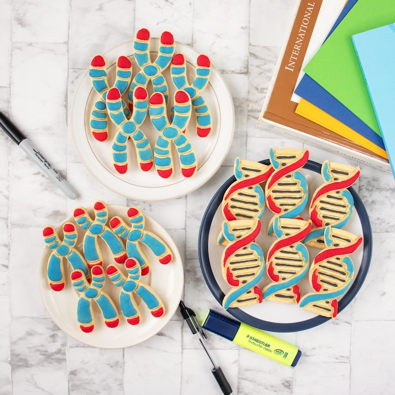 DNA cookie cutter biscuit cutters cell cycle Deoxyribonucleic acid molecule genetics genetic Microbiology laboratory science chromosome image 9