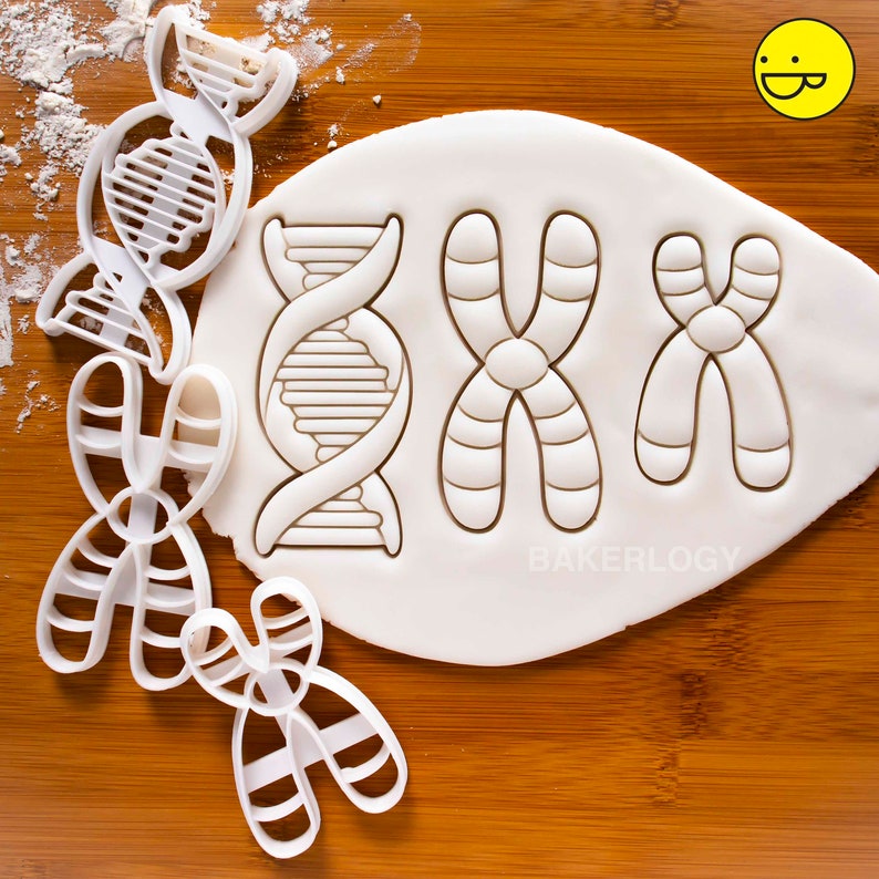 DNA cookie cutter biscuit cutters cell cycle Deoxyribonucleic acid molecule genetics genetic Microbiology laboratory science chromosome Promo Set: Get ALL 3