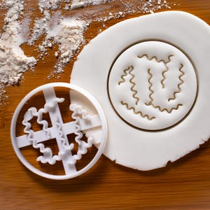 Spiral Bacteria cookie cutter | Microbiology biscuit cutters Microbiologist cookies laboratory science phd Bacterial cellular morphologies