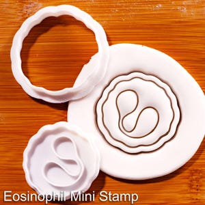 May include: A white plastic cookie cutter and a matching stamp featuring a scalloped edge and a central abstract shape. The stamp is pressed into a white circular piece of dough, creating an impression of the design. Text reads Eosinophil Mini Stamp.