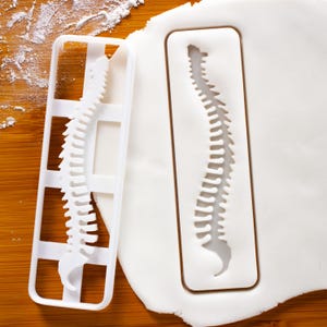 Human Spine Cookie Cutter – Backbone Anatomy Shape for Medical Student & Science Baking