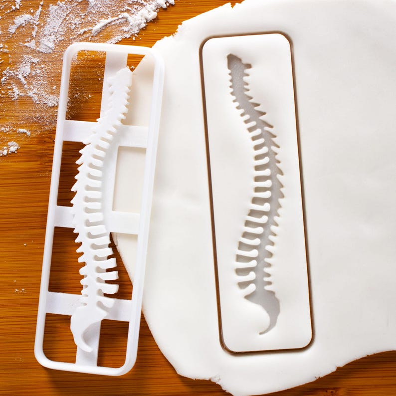 Human Cutter Shape Human Spine Cookie Cutter – Backbone Anatomy Shape for Medical Student ...