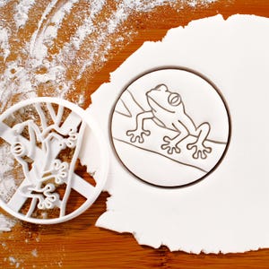 Tree Frog Cookie Cutter: Herpetologist Gift, Froggy Party
