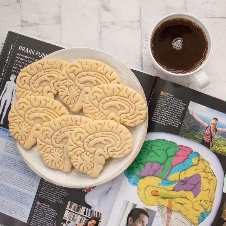 Anatomical Brain cookie cutter Heart cookies cutters biscuit cutter Gifts for medical student science students one of a kind ooak image 3