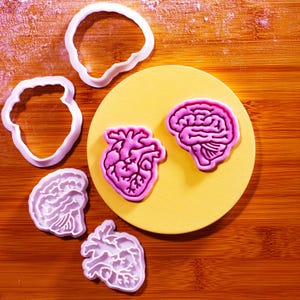 May include: An overhead shot shows several cookie cutters in the shapes of a brain and heart, along with a yellow circle and a wooden surface. The heart and brain cookie cutters are pink. The other cutters are white.