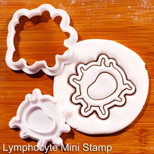 May include: A white plastic lymphocyte cookie cutter and a matching stamp, with one stamp pressed into a circular piece of white dough to create a lymphocyte shape. The text "Lymphocyte Mini Stamp" is printed at the bottom of the image.