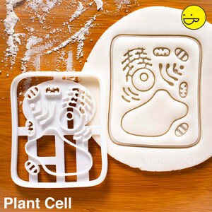 Human Cell cookie cutter medicine biscuit cutters Gifts medical science Robert Hooke students health student biology doctors Bakerlogy image 4