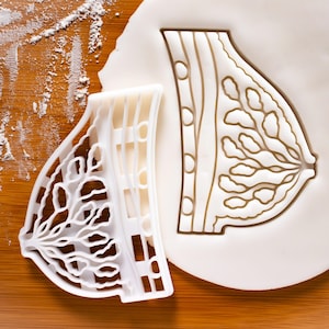 Breast Anatomy cookie cutter | physiology medicine cookies | breast cancer awareness medical doctors gifts doctor oncology nurse