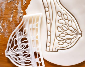 Breast Anatomy cookie cutter | physiology medicine cookies | breast cancer awareness medical doctors gifts doctor oncology nurse