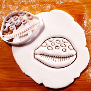 Koekjesvorm met kaurischelp – schelpvorm voor het bakken van zeemeermin-, zeevaart- en strandfeesten